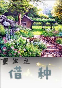重生之权力小说